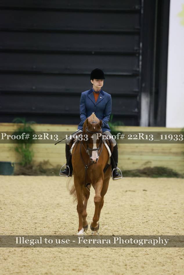 Proof 22R13_11933