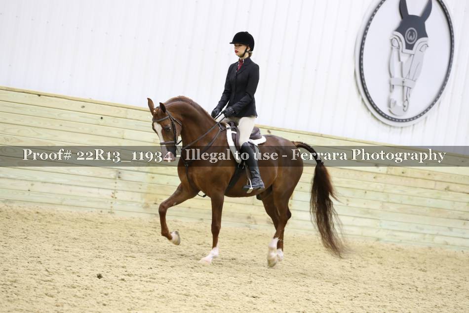 Proof 22R13_11934