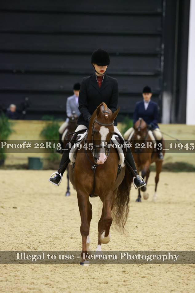 Proof 22R13_11945