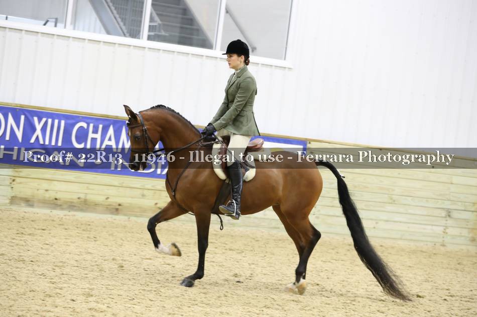 Proof 22R13_11946