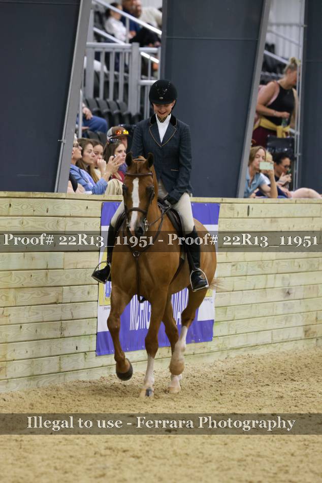 Proof 22R13_11951