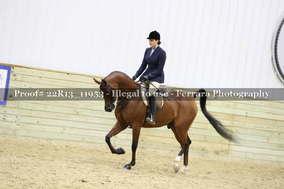 Proof 22R13_11953
