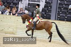 22R13_11980 proof