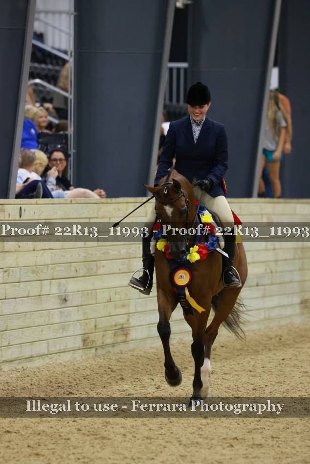 Proof 22R13_11993
