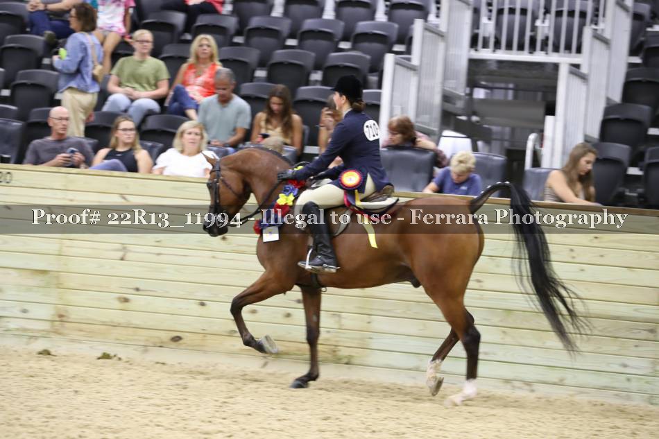 Proof 22R13_11994