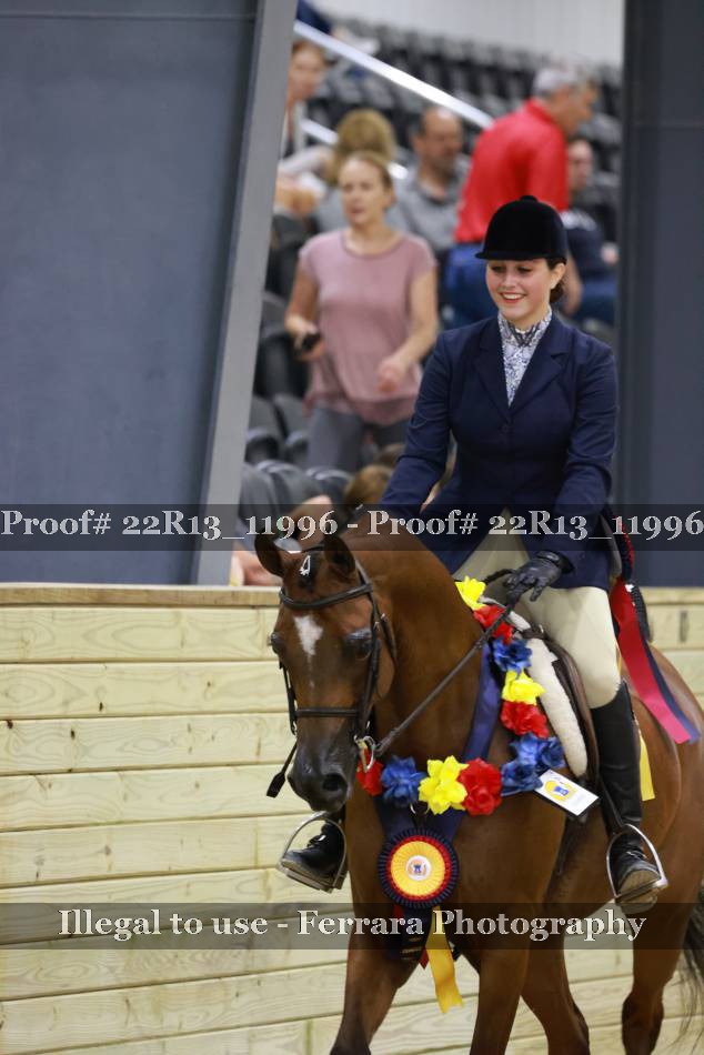 Proof 22R13_11996