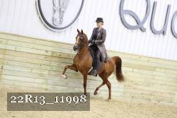 22R13_11998 proof