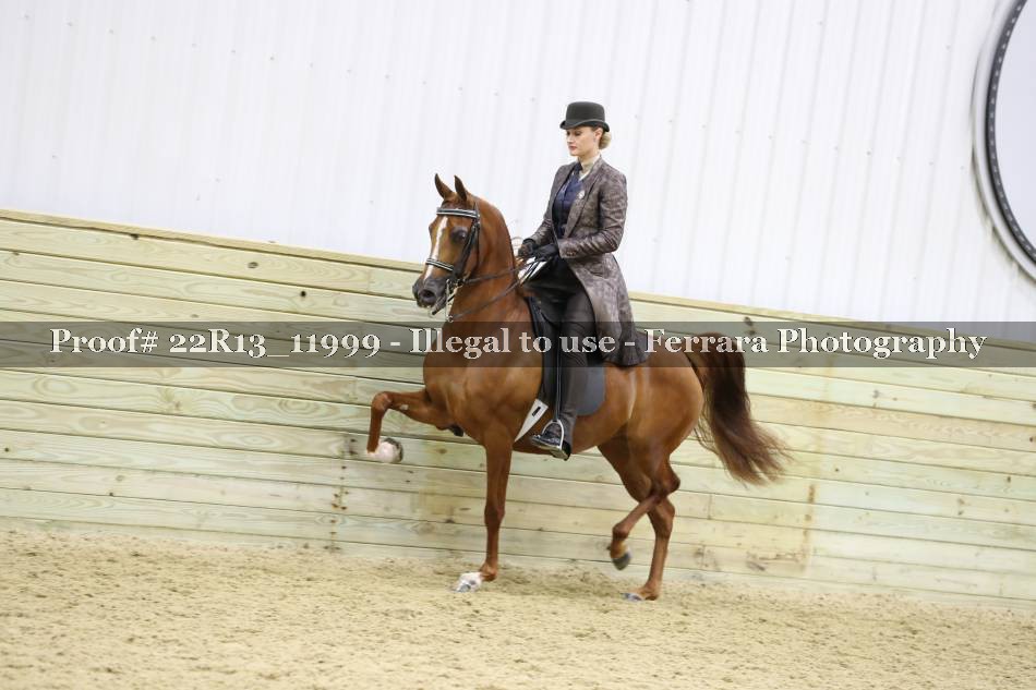 Proof 22R13_11999