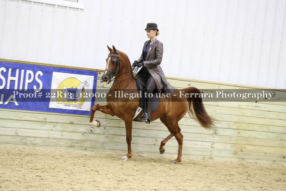 Proof 22R13_12000