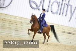 22R13_12001 proof