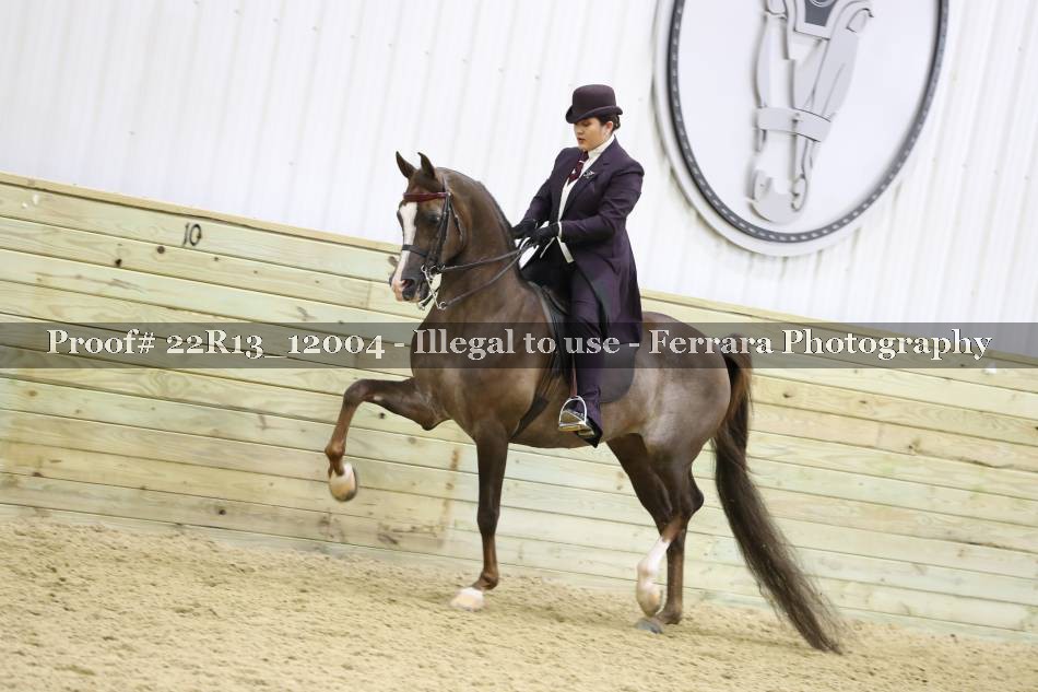 Proof 22R13_12004