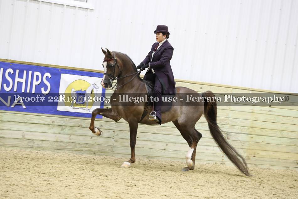 Proof 22R13_12005