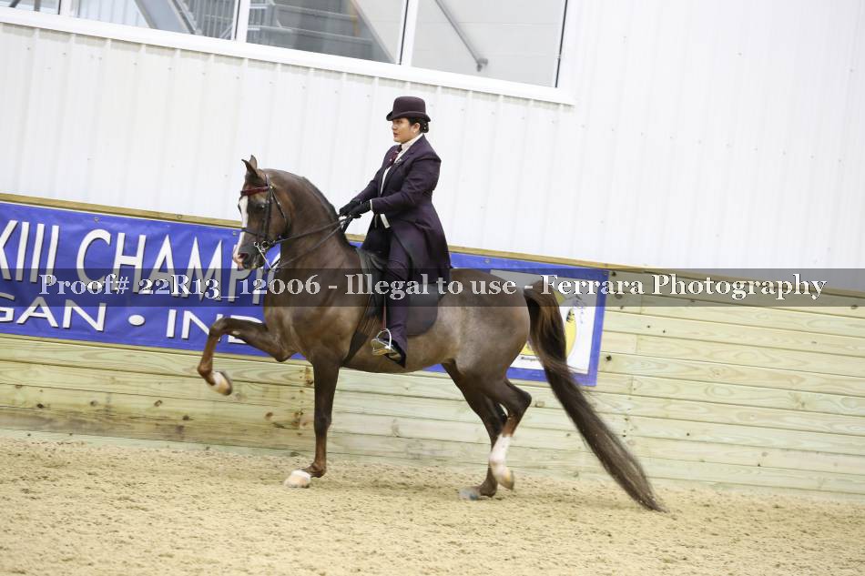Proof 22R13_12006