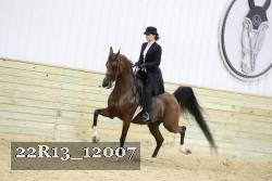 22R13_12007 proof