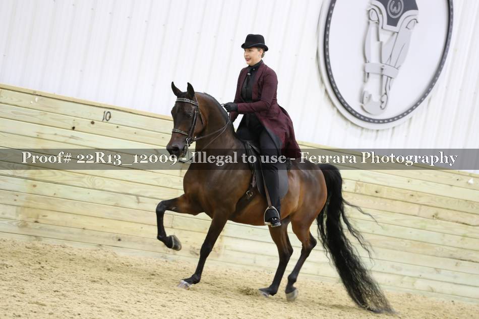 Proof 22R13_12009