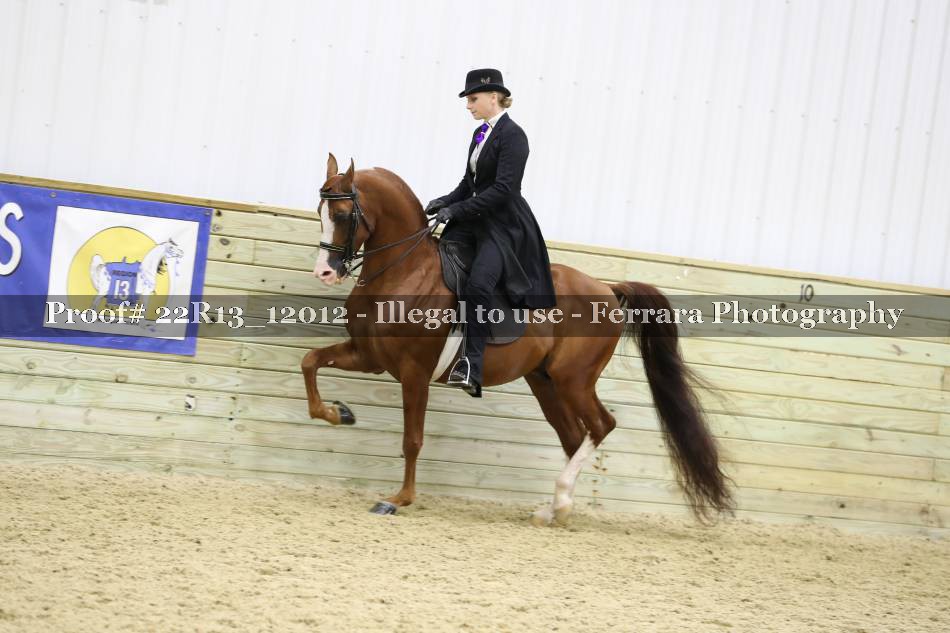 Proof 22R13_12012