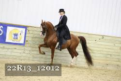 22R13_12012 proof