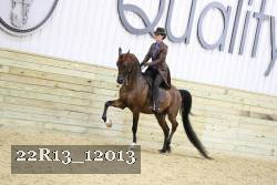 22R13_12013 proof