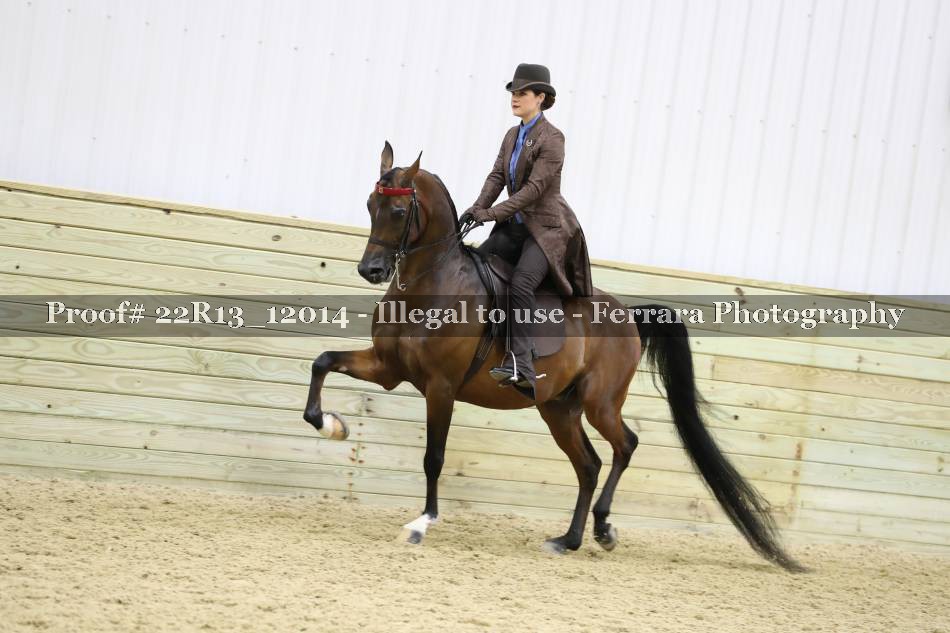 Proof 22R13_12014