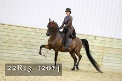 22R13_12014 proof