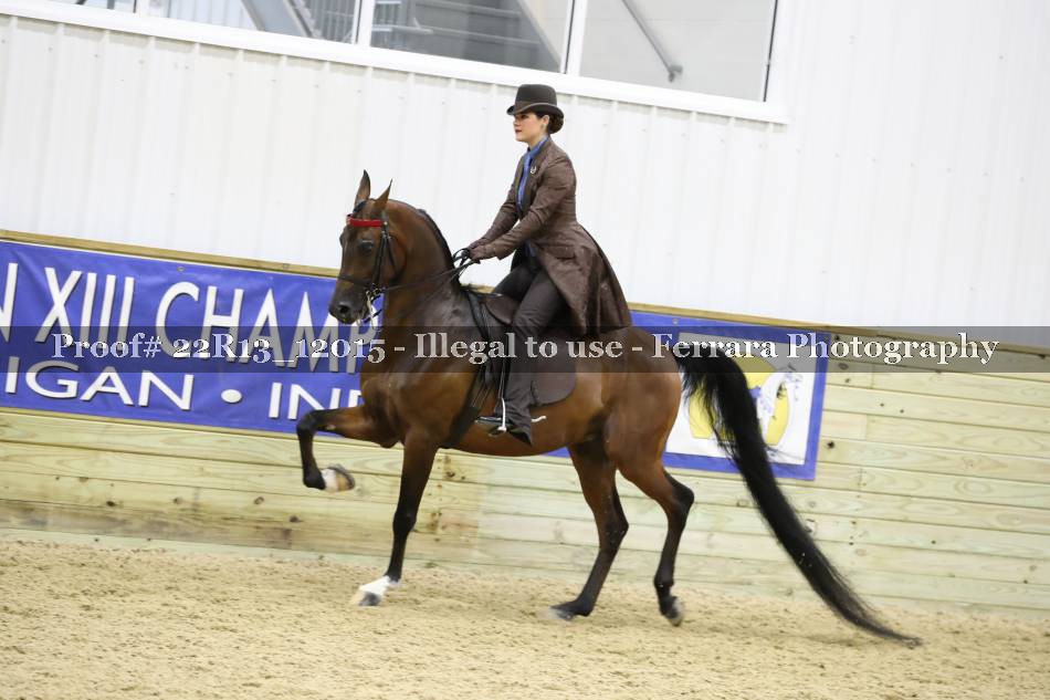 Proof 22R13_12015