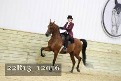 22R13_12016 proof