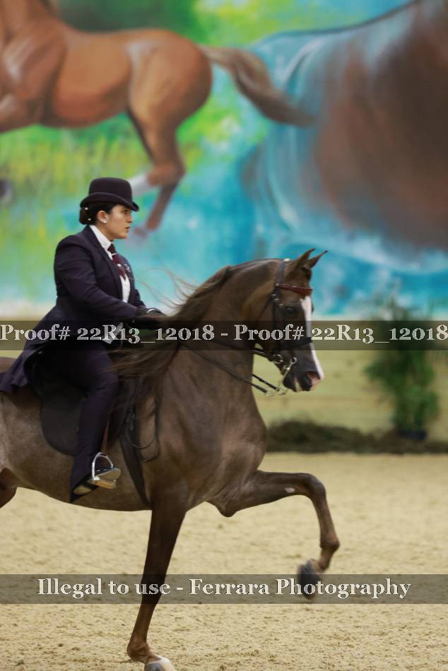 Proof 22R13_12018