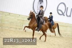 22R13_12019 proof