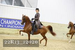 22R13_12020 proof