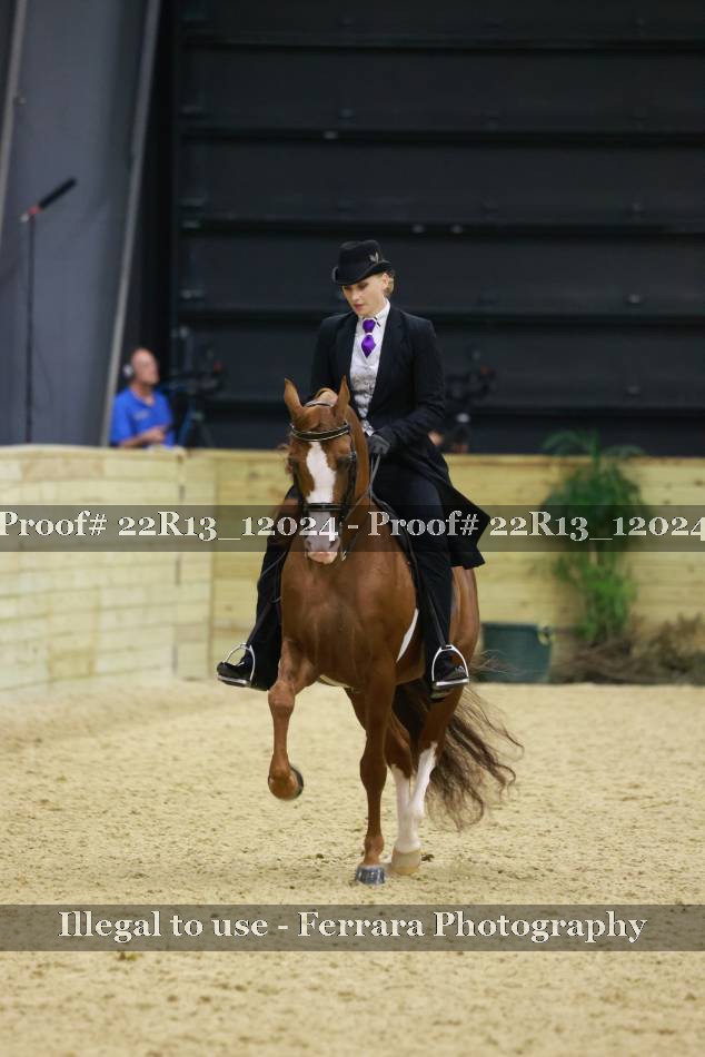 Proof 22R13_12024