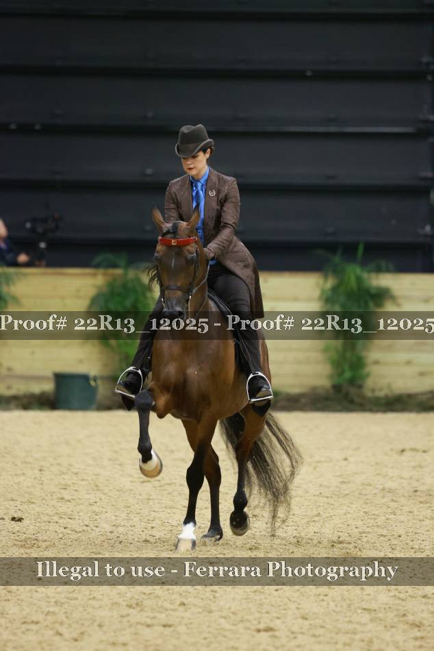 Proof 22R13_12025