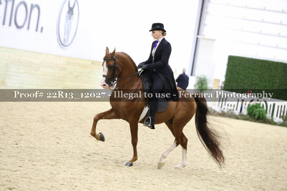 Proof 22R13_12027