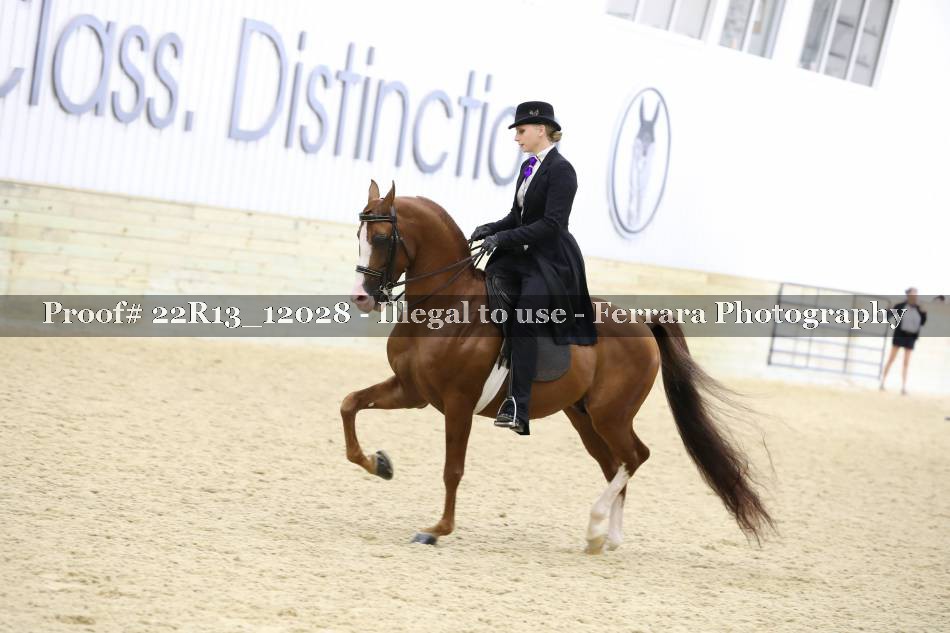 Proof 22R13_12028