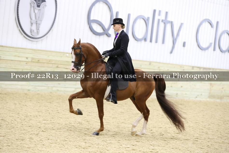 Proof 22R13_12029