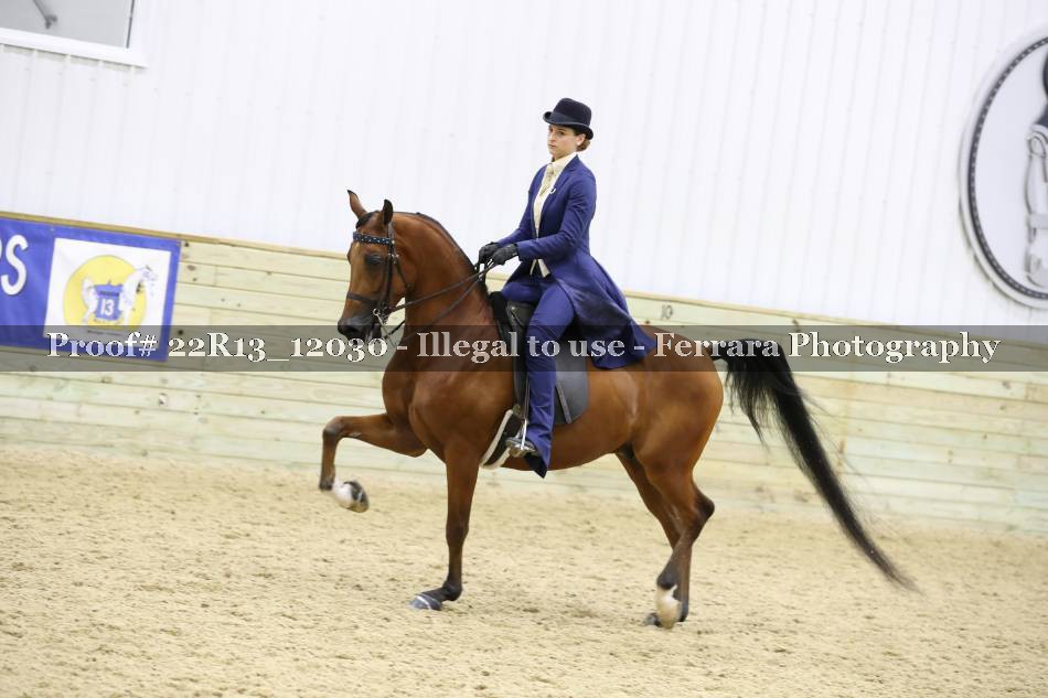 Proof 22R13_12030