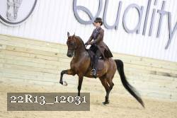 22R13_12031 proof