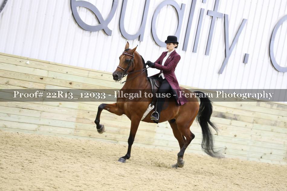 Proof 22R13_12033
