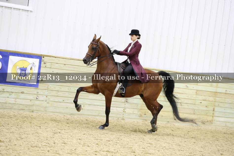 Proof 22R13_12034