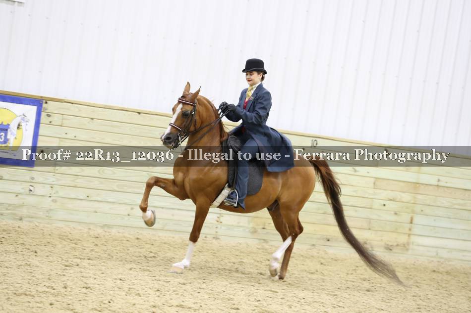 Proof 22R13_12036