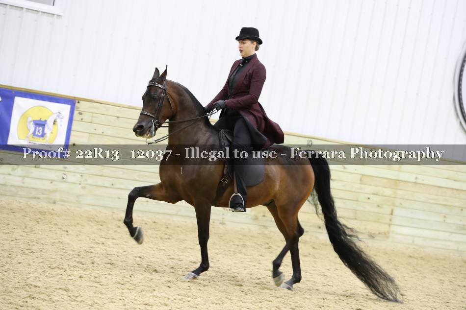 Proof 22R13_12037