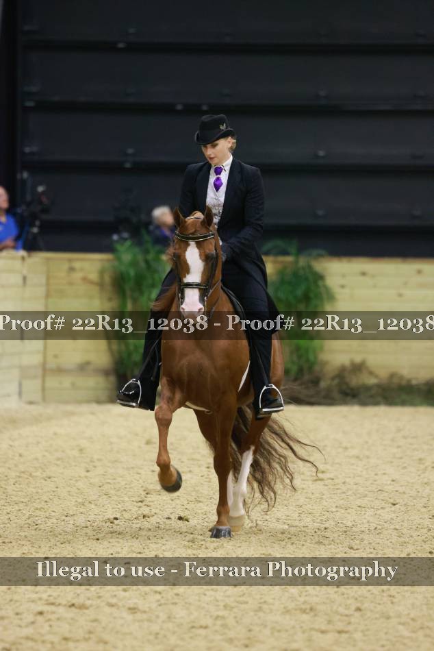 Proof 22R13_12038