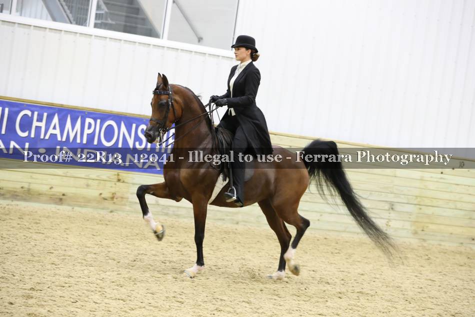 Proof 22R13_12041
