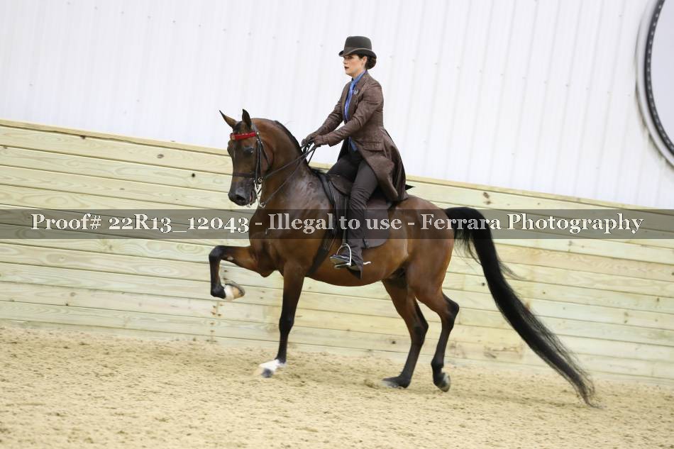 Proof 22R13_12043