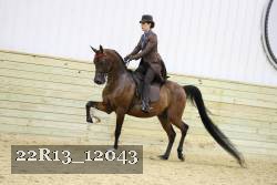 22R13_12043 proof