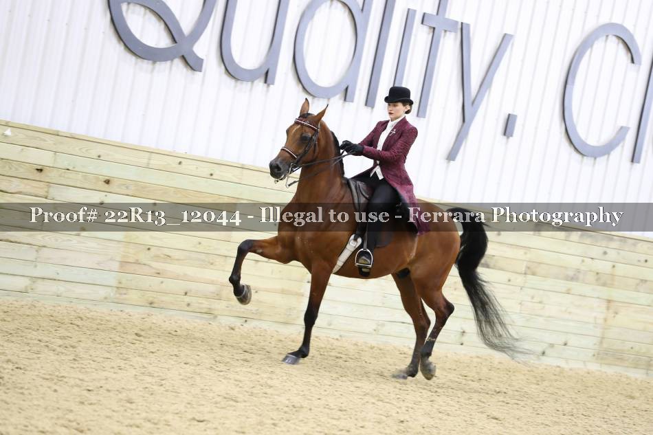 Proof 22R13_12044