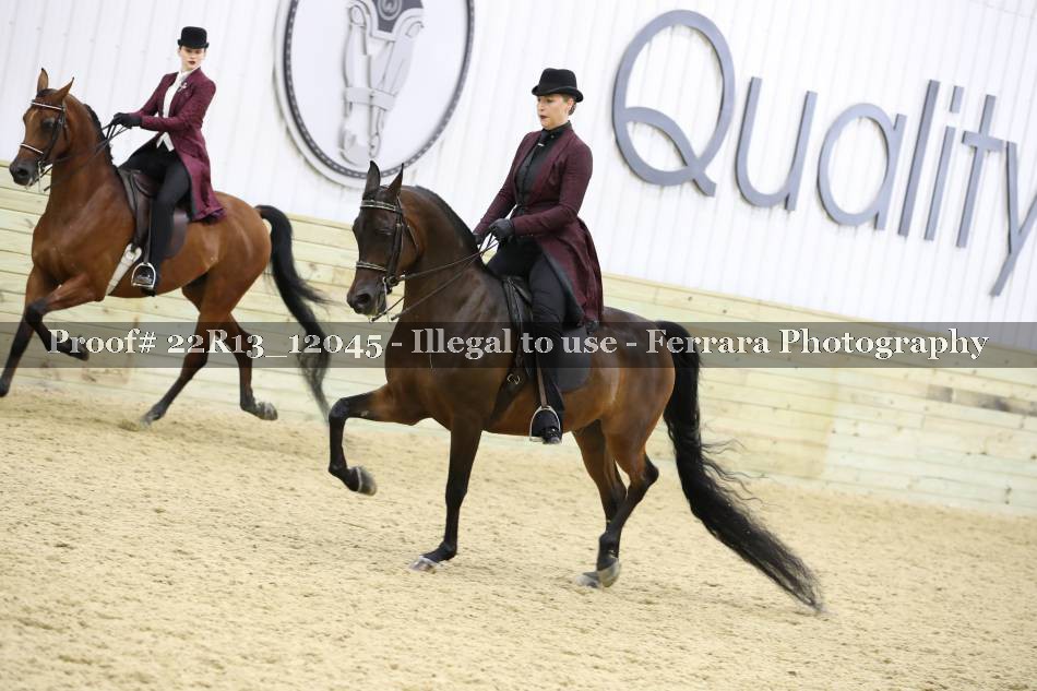 Proof 22R13_12045