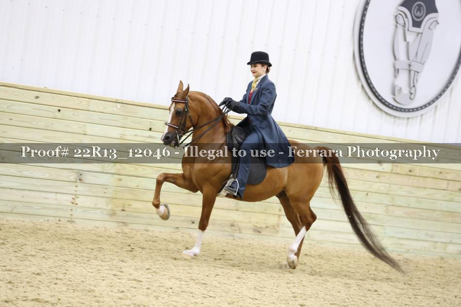 Proof 22R13_12046