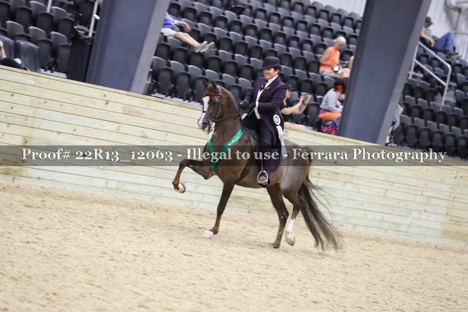 Proof 22R13_12063