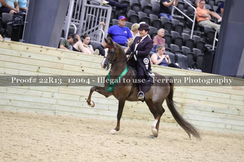 Proof 22R13_12064