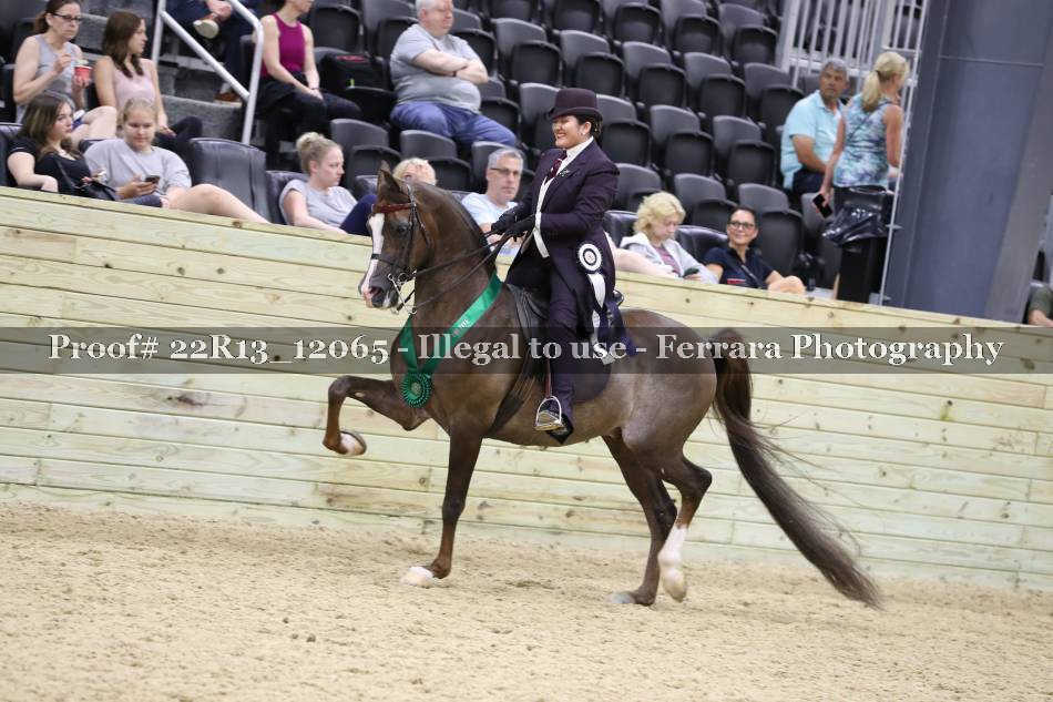Proof 22R13_12065